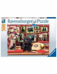 Ravensburger 16591 puzzle 500 pieza(s)