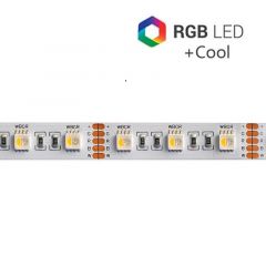 Tira LED 24V 19,2W/m SMD5050 60LED/m RGB+6000K IP20 5m