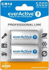 Everactive EVHRL14-5000 pila doméstica Batería recargable Níquel-metal hidruro (NiMH)