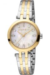 Reloj de pulsera Esprit Brooklyn - ES1L342M0105 correa color: Gris plata Oro amarillo Dial Mother of Pearl Blanco antiguo Mujer