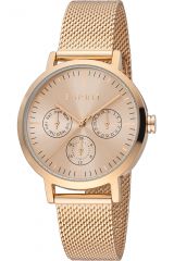 Reloj de pulsera Esprit Beth - ES1L364M0095 correa color: Oro rosa Dial Oro rosa Mujer