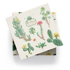 Album foto 16x16cm 24 paginas autoadhesivas botanical cacti kokonote
