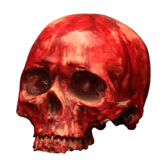 Artículo decorativo cráneo de resina sangriento 18 cm