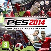 Konami Pro Evolution Soccer 2014 Estándar Alemán, Inglés, Español, Francés, Italiano PC