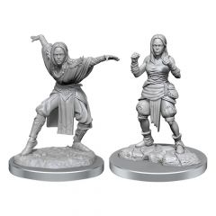 Pathfinder battles deep cuts pack de 2 miniaturas sin pintar half-elf monk female caja (2)