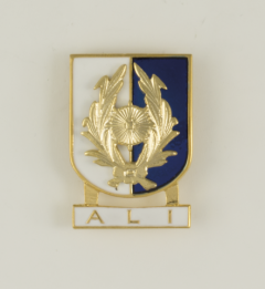 Insignia Martinez Albainox Pin Distintivo Especialidad Ali, Tamaño 2,6 X 3,7 cm 09560