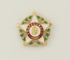 Insignia Martinez Albainox Pin Distintivo Profesorado Oficial, Tamaño de 3,5 cm 09585
