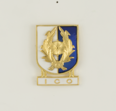 Insignia Martinez Albainox Pin Distintivo Especialidad Ico, Tamaño 2,6 X 3,7 cm 09595