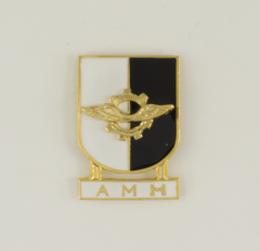 Insignia Martinez Albainox Pin Distintivo Especialidad Amh, Tamaño 2,6 X 3,7 cm 09597