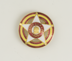 Insignia Martinez Albainox Pin Distintivo Profesorado Suboficial, 3,5 cm  09604