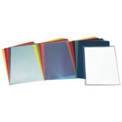 Esselte caja de 100 dossiers uñero - formato folio - pvc flexible - grosos 110 micras - color transparente
