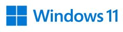 Microsoft Windows 11 Pro for Workstations 1 licencia(s)
