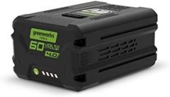 Greenworks 2918407 cargador y batería cargable