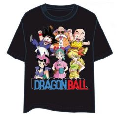 Camiseta dragon ball mejores amigos m