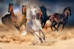 Poster five horses