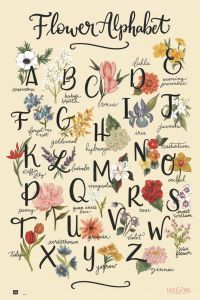 Poster lily & val flowers alphabet