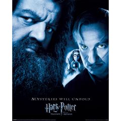 Harry Potter Póster de El prisionero de Azkaban (50 cm x 40 cm), color negro y azul