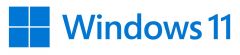Microsoft Windows 11 Pro Producto empaquetado completo (FPP; full packaged product) 1 licencia(s)