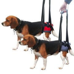 Transportador - Arnés de mano para perros con parálisis en patas delanteras o traseras HANDY CANIS disponible en varias tallas