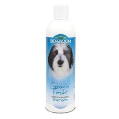 CHAMPÚ Groom'n Fresh, para perros, limpieza intensa, ideal para ejemplares muy sucios, envase de 355 ml