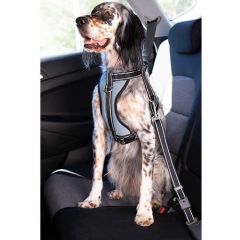 Arnés coche con cinturón seguridad Ibáñez Dogway disponible en varias opciones