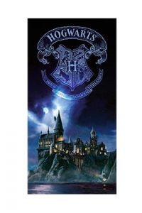 Hogwarts poster de vidrio harry potter 30x60 cm