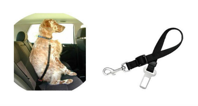 cinturon-seguridad-perros