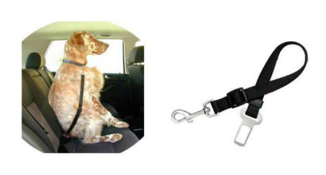 cinturon-seguridad-perros