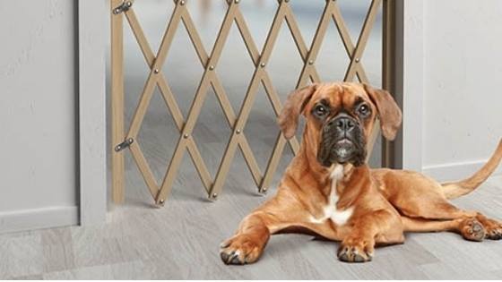 Estrecho de Bering Instantáneamente Inesperado La puerta de seguridad para perros garantiza la seguridad de tu mascota -  Electropolis